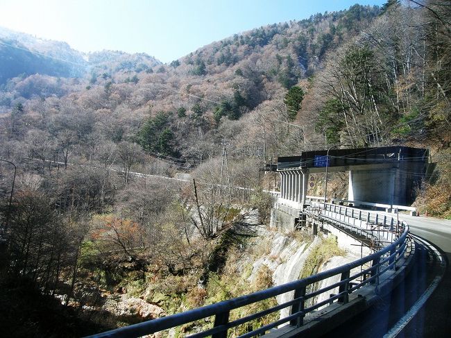 もう沢渡を過ぎると紅葉は落葉してこの通り・・。