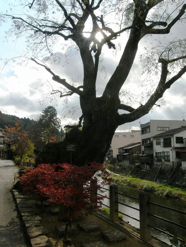 中橋だったでしょうか・・<br /><br />　工事中で・・<br /><br />　　陣屋まで行くと時間が足りなくなるので引き返します。<br /><br />