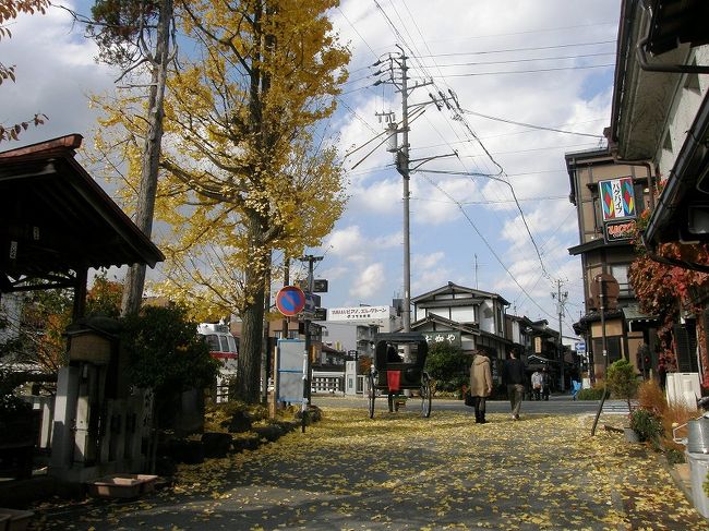 イチョウの黄葉が・・。