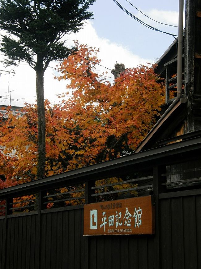 屋敷塀の向こうに素晴らしい紅葉したモミジが・・。