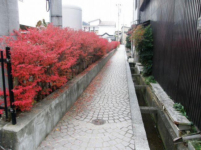 裏道を抜けて・・。