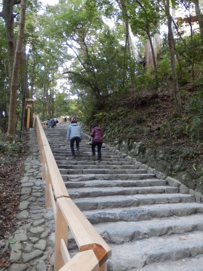 こちらの階段をずっと上がって、次に多賀宮に向かいます。<br />