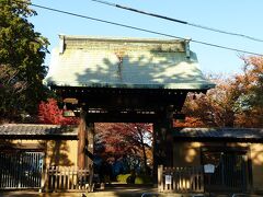 豪徳寺

宮の坂駅で下車、歩いて10分足らずで到着。とても立派な山門です。