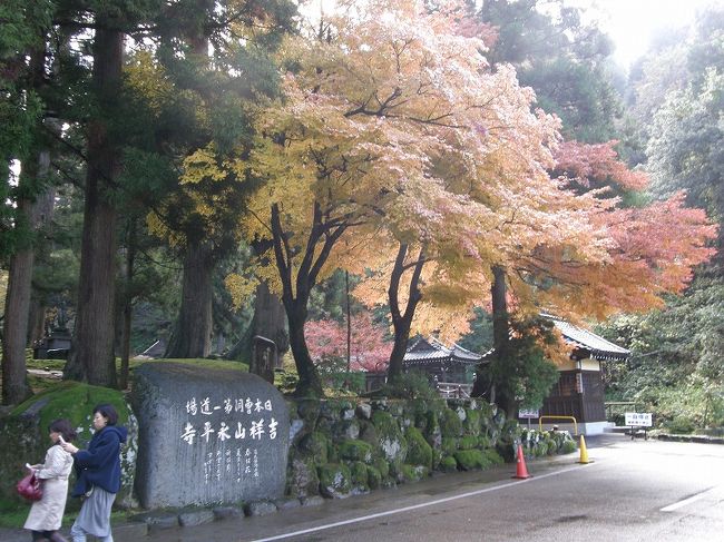 見事な紅葉が出迎えてくれる。