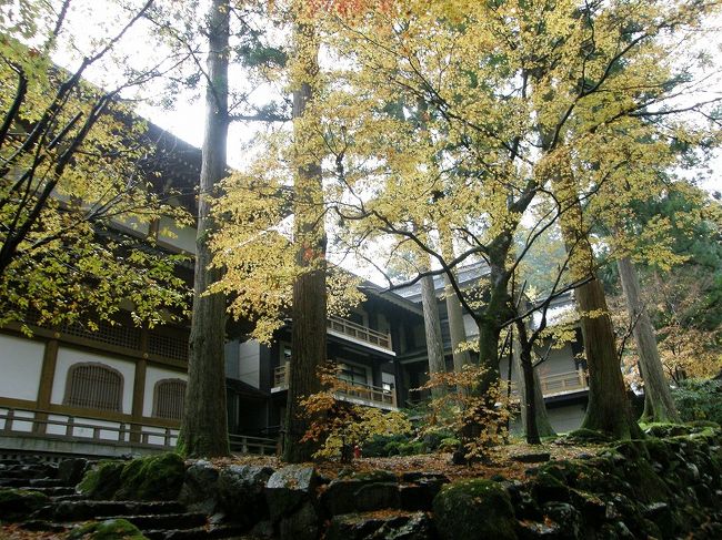 黄葉が素晴らしい。