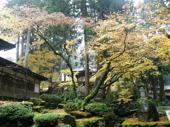 苔むす庭に黄葉が似合います。