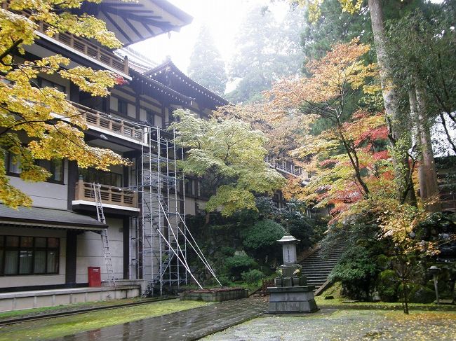 雪囲いの準備中。