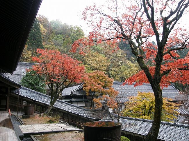 紅葉が映えます