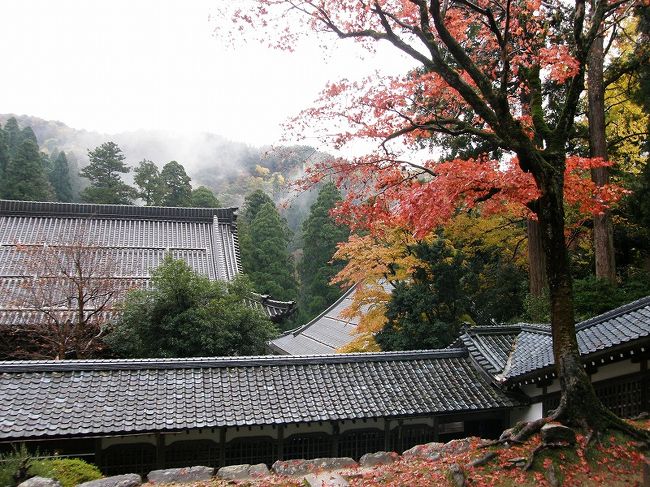 聖域の佇まい。