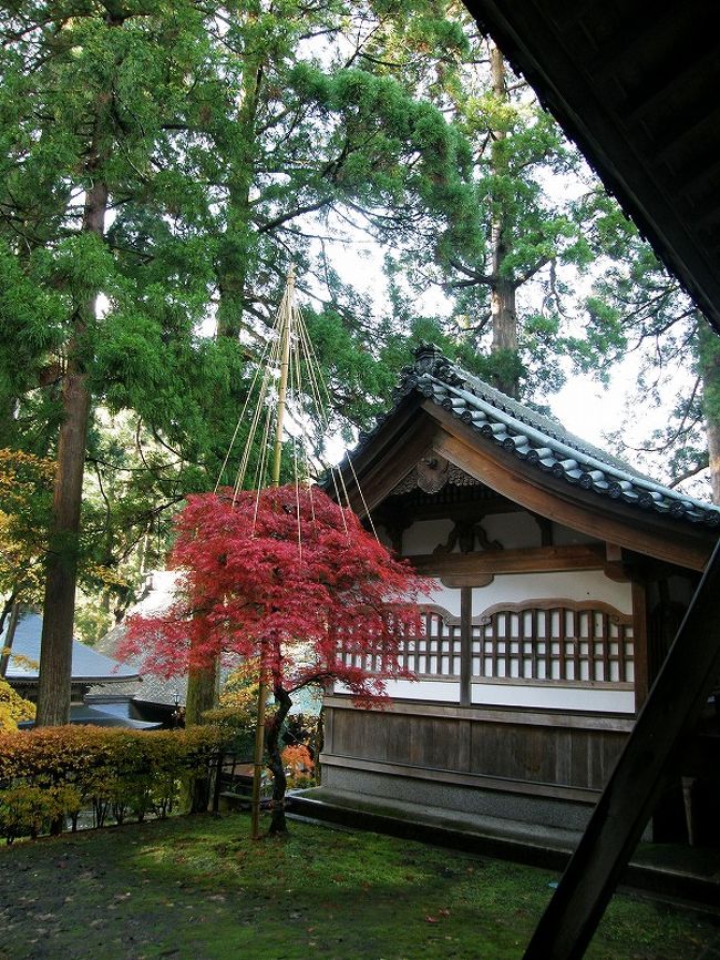 雪つりが施されています。