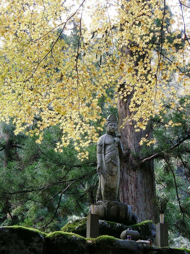 境内は秋の佇まい・・<br /><br />朝一番の参拝は、なかなか見られないお坊さんの日常生活の一端を見ることができた。<br /><br />永平寺での修業はつらいと聞いている。<br />このような環境の中で修業は・・・<br /><br />複雑な思いで永平寺を後にした。<br /><br /><br />　　　　　　　　　つづく