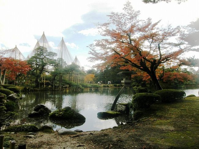 微軫灯籠と奥に唐崎松