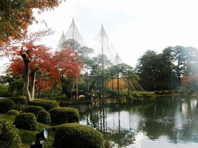 紅葉と雪吊り・<br /><br />　　秋から冬に・・。