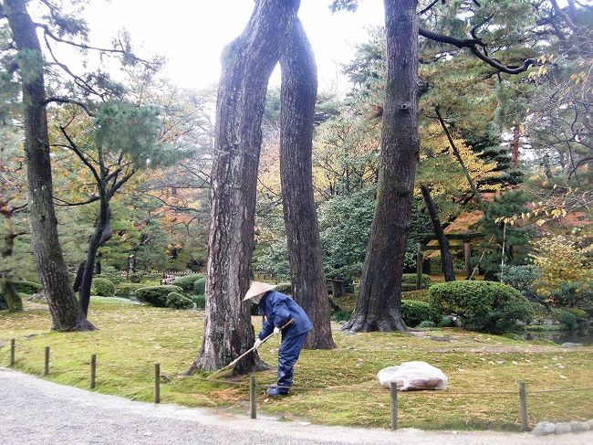 雨の中お疲れ様です。<br /><br />　このような方々のおかげで素晴らしい兼六園が見られるのです。