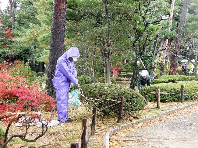 雹交じりの雨の中、冬支度は進みます。