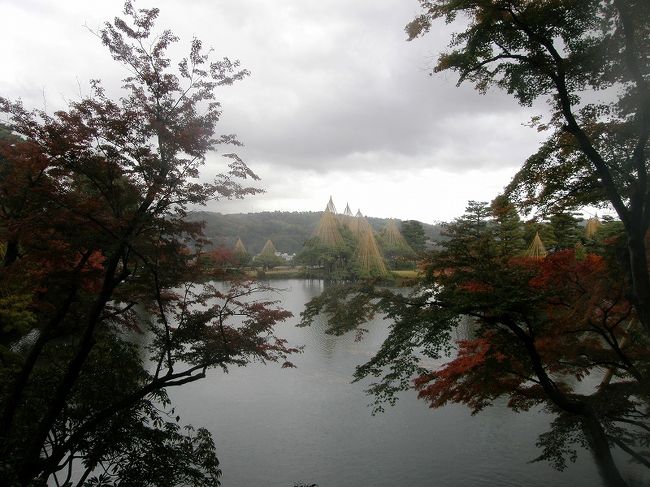 栄螺山に登る途中から。