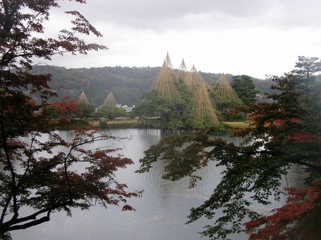 唐崎松を・・。