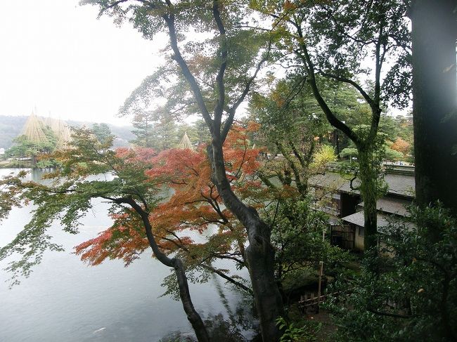 上から内橋亭を・・。