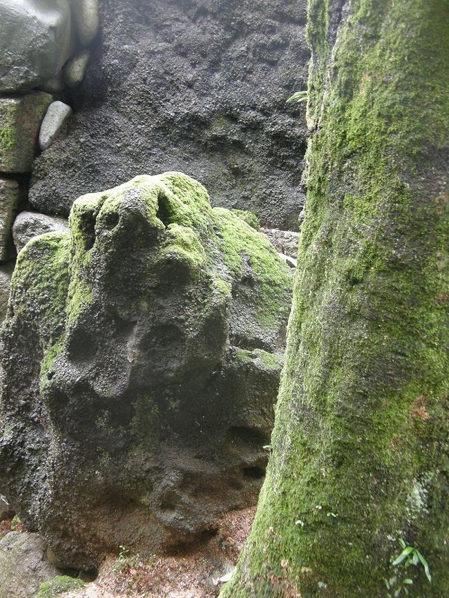 苔むして・・。