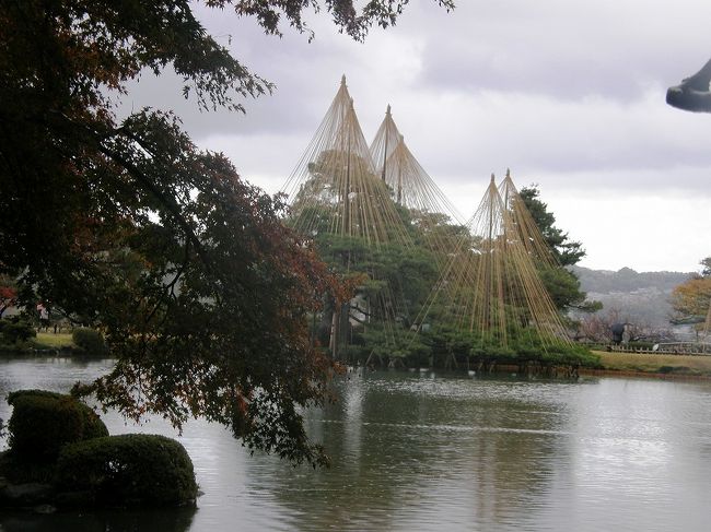 再び霞ヶ池畔に・・。