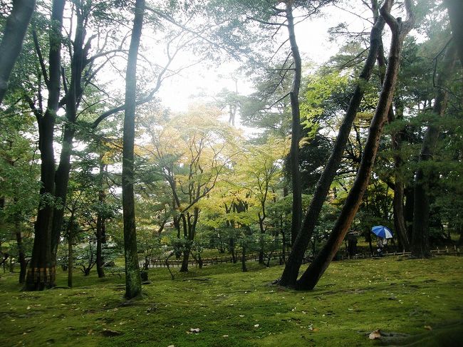 黄葉が美しい常盤ヶ丘。