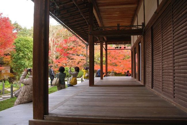 入場制限をしているようで、入るまでは並びましたが。