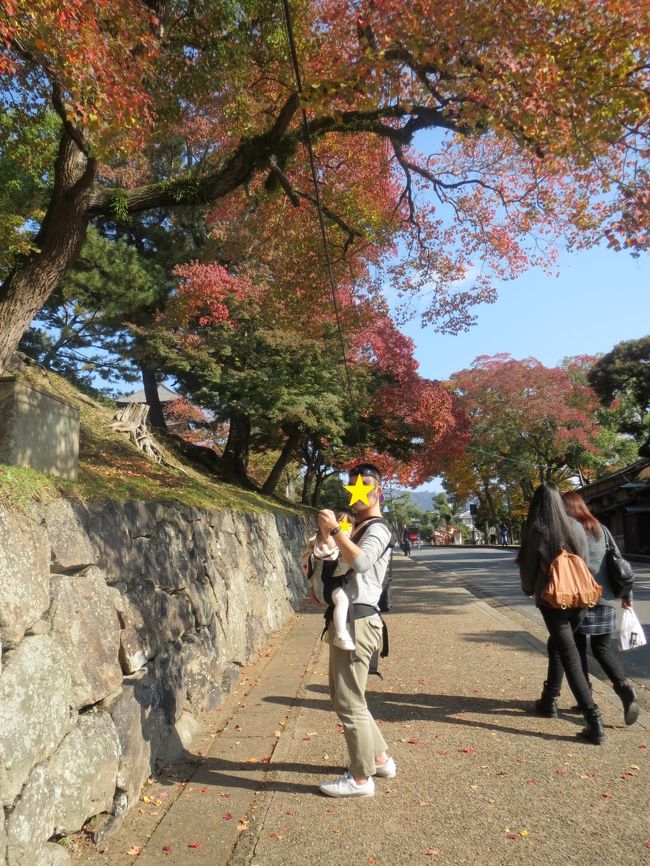 おおーーこの辺もいい感じに色づいてます。<br />オレンジ系かな。<br /><br />