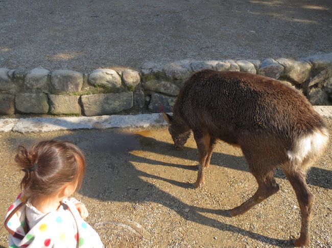 鹿とごたいめ〜ん。<br /><br />