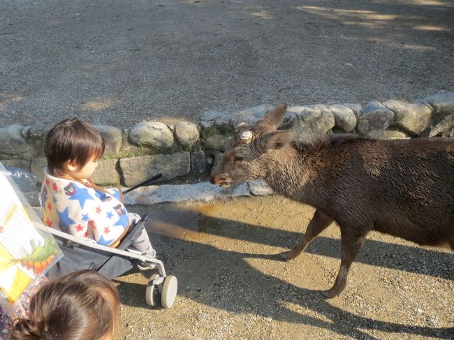 子供たちの目線から見ると結構怖いと思うんですけどね＾＾。<br />娘はじりじり後ずさりしていました。<br /><br />