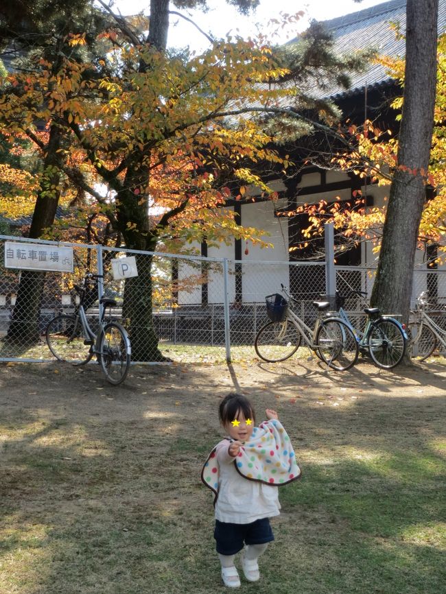 さっさと出ていた夫＆娘ちゃんチームは、無邪気に外で葉っぱと戯れ、どんぐり<br />もどき（くぬぎの実？！）を集めまくってました。<br /><br />