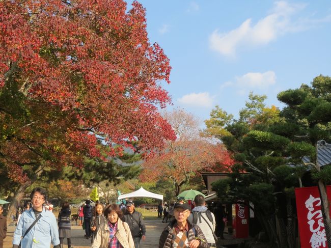 春日大社の参道を抜けて、東大寺のある左方向へ。