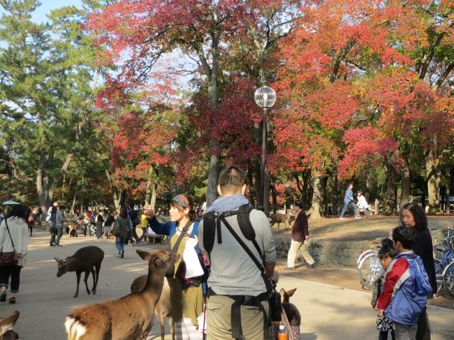 う〜ん、このあたりもいいかんじ〜！<br /><br />