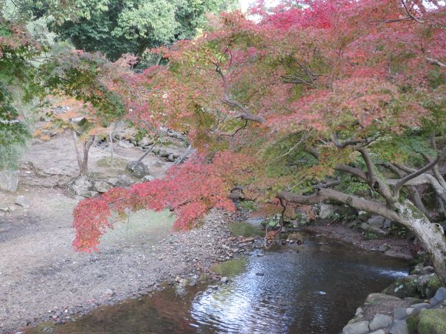 水辺と紅葉もいいですよね。<br /><br />