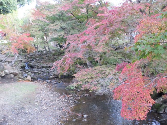 角度とか、難しくて色々撮ってみる。