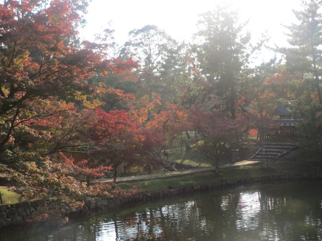 ぐるーっと池の周りをあるいて、、、<br /><br />