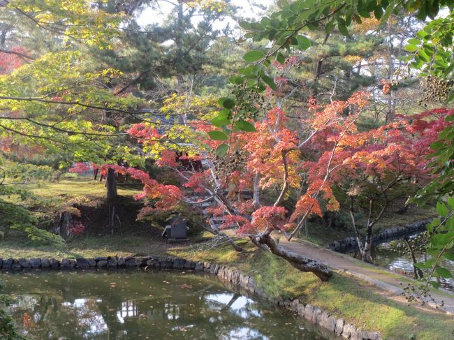 あーここは毎回きれいだなぁ。<br /><br />