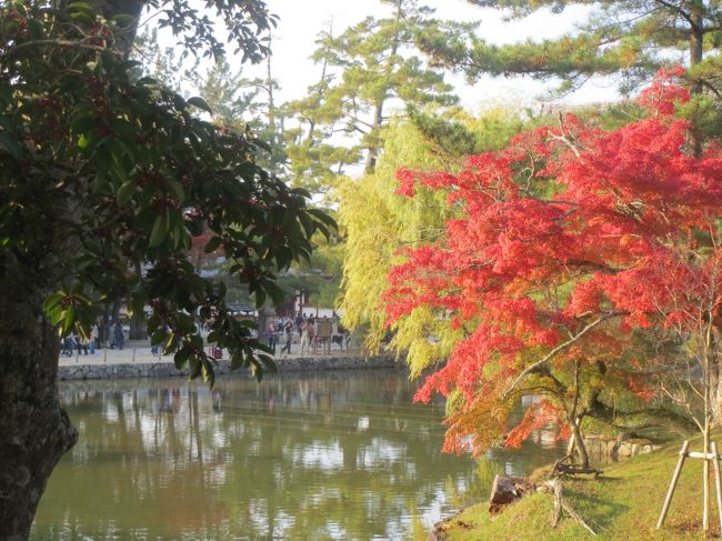 でもでも、そこそこ満足な写りです。<br /><br />