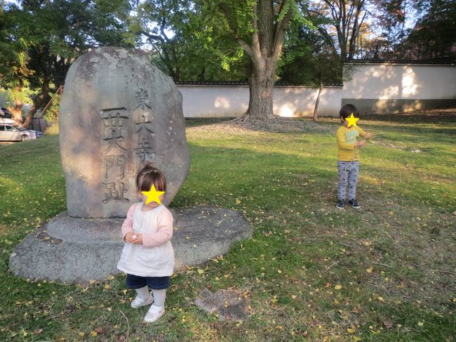 でも、子供たちとっても楽しそうに遊びまくってます。<br />