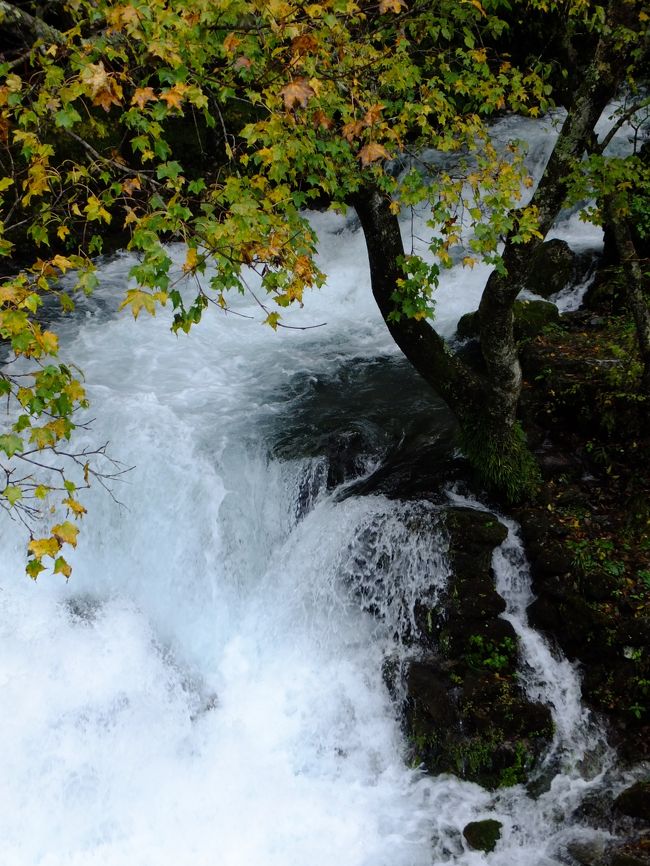 一見、きれいな風景ですが…この水量が怨めしい。