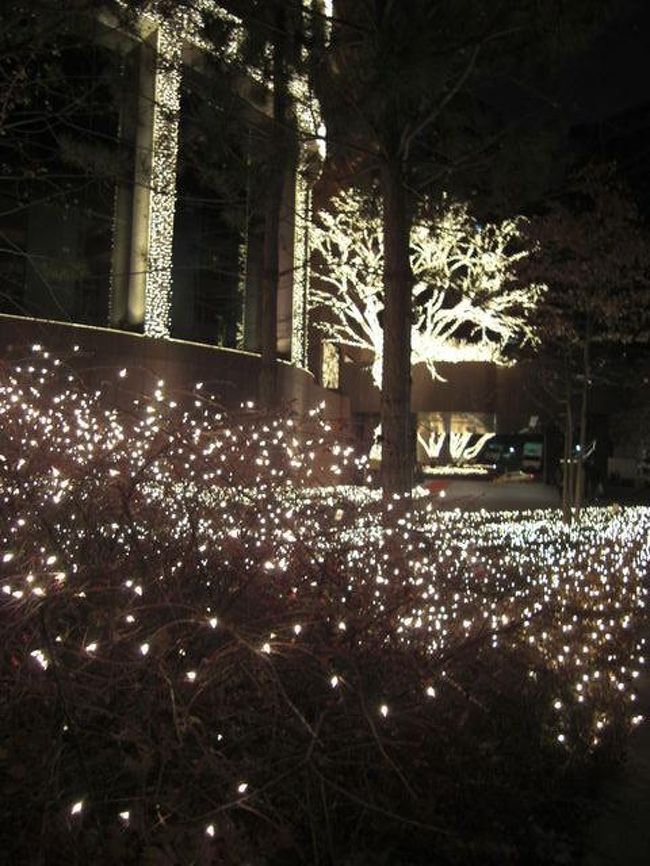 今回宿泊したホテルはウェスティン朝鮮<br /><br />