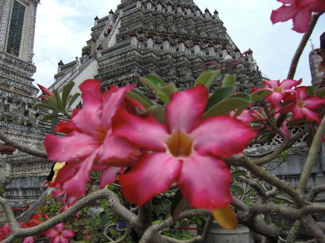 いいアングルやわ♪