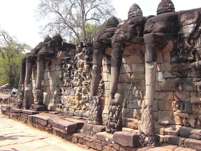 象のテラス<br />