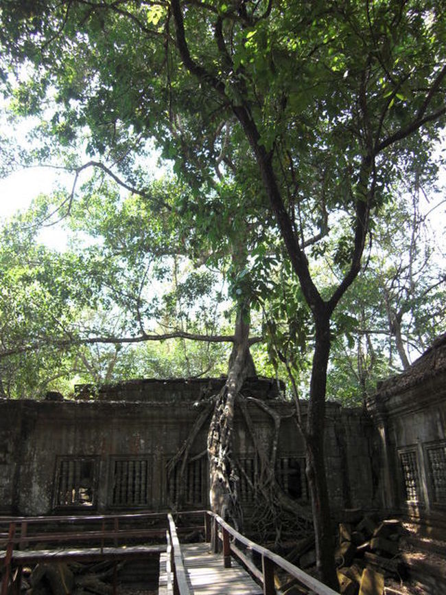 天空の城ラピュタのモデルとなった遺跡　ベンメリア<br /><br />