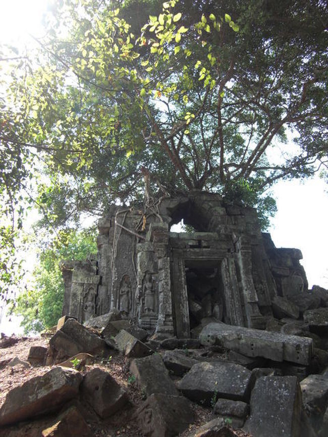 ベンメリア<br /><br />