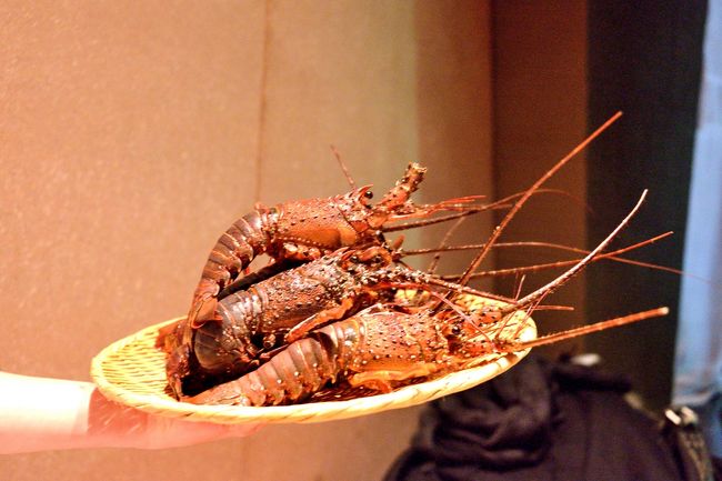 今回は伊勢海老を美味しく頂きました。<br /><br />どんな料理に変身するのか (oﾟ▽ﾟ)oﾜｸﾜｸ