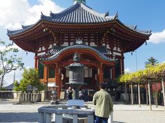 南円堂

この左側にある木が気になります。
雛飾りのようではないですか。