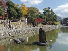 猿沢の池

昔はもっと鬱蒼としていて大きな池だったような気がしましたが・・・

中学の修学旅行も、高校の修学旅行も、この池のほとりの旅館に泊まりました。
ネットで調べてみましたが、魚佐旅館、昨年閉館したそうです。
老舗旅館だったのですね。

