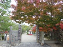 名勝庭園　依水園

名勝とか、特別名勝って意味は深く考えたことがなかたけれど、この前行った山陰のツアーでガイドさんが、国宝・重文と同じように、庭に対して指定していると教えてくれました。

ここも入ってみたいけれど、そんなに時間はありません。