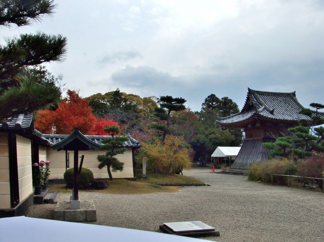 静かな佇まいの中にも<br />凛とした空気が漂っている様に感じます。