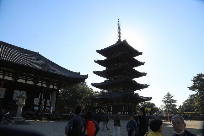 いよいよ興福寺に突撃。逆光だぁ。